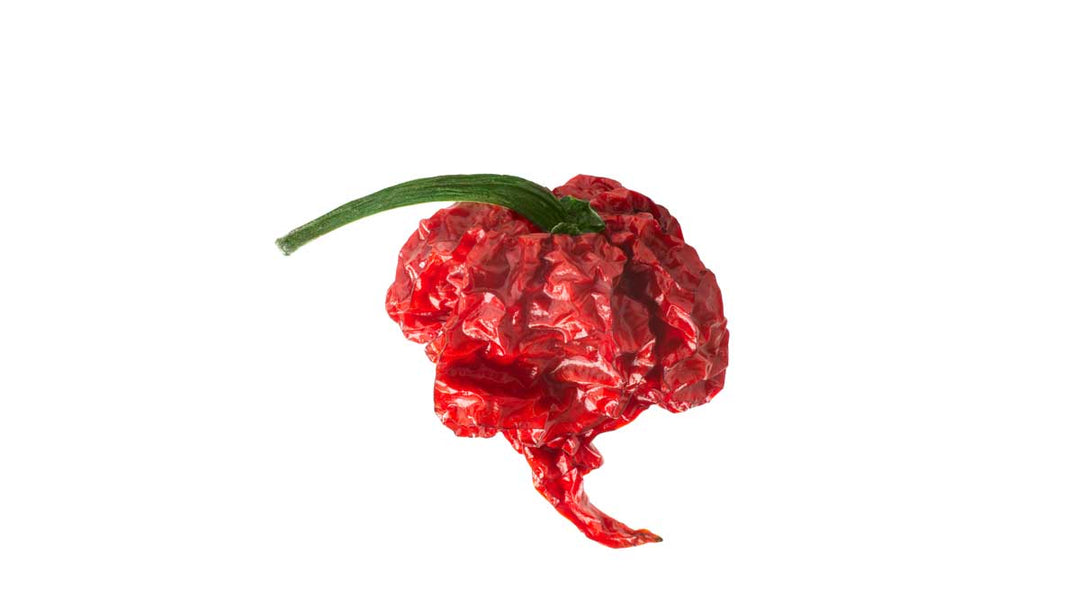 Carolina Reaper Chili - geschrotet